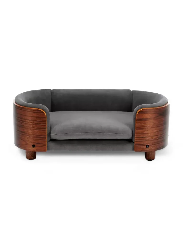 Riviera French Bulldog Sofa Bed with gray cusion